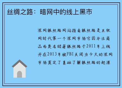 丝绸之路：暗网中的线上黑市